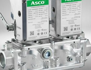 Fuel & Gas Valves