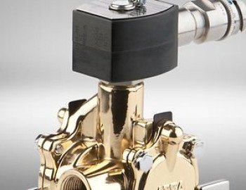 Nuclear Valves
